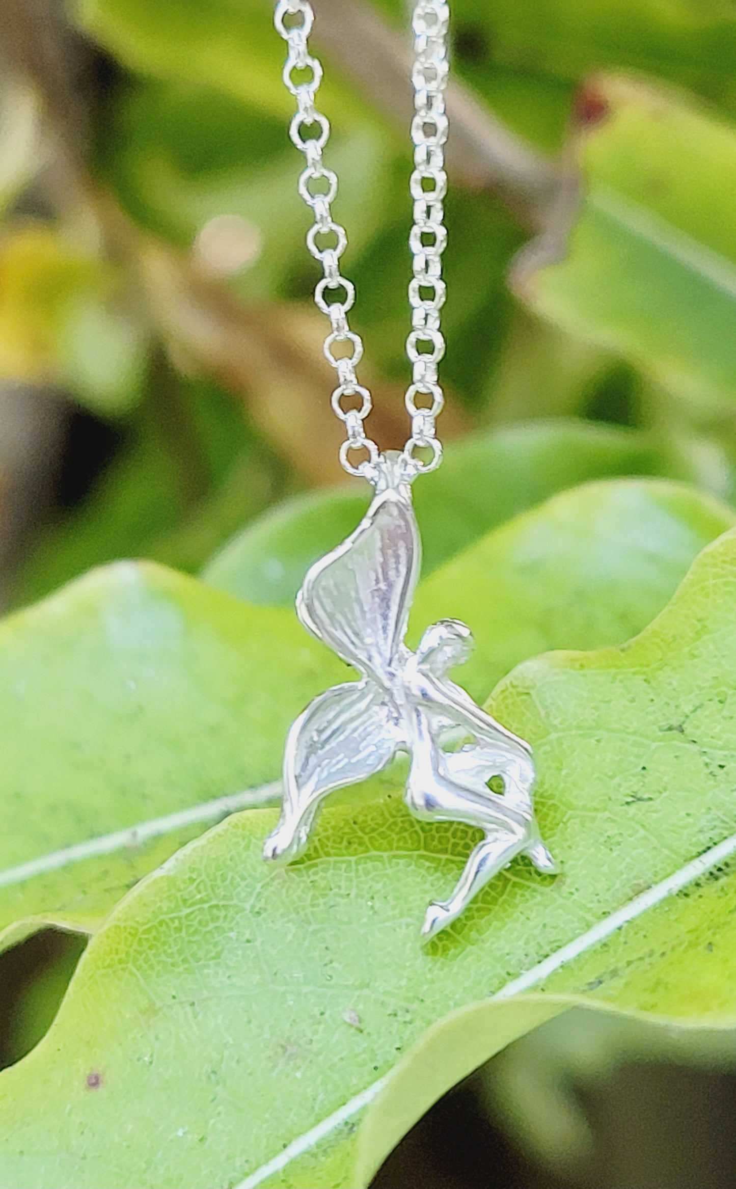 🦋 The Fairy 🦋