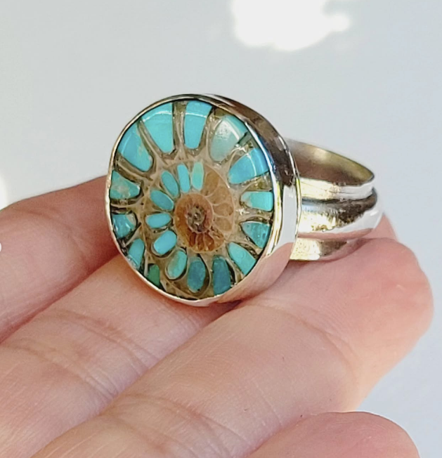 Turquoise Ammonite Ring