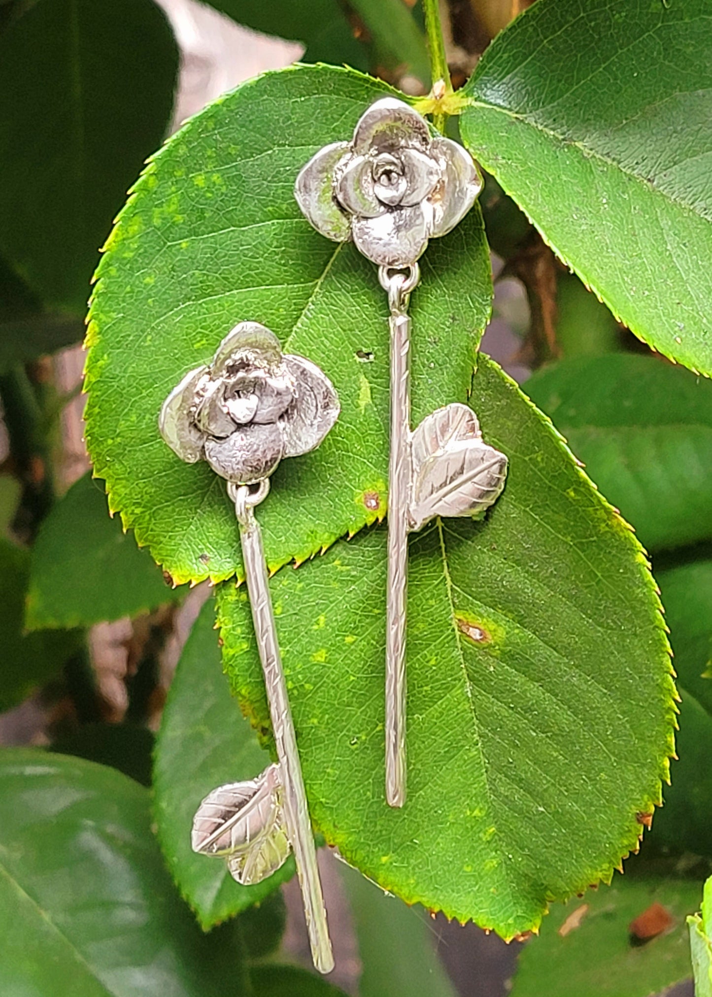 Succulent Earrings